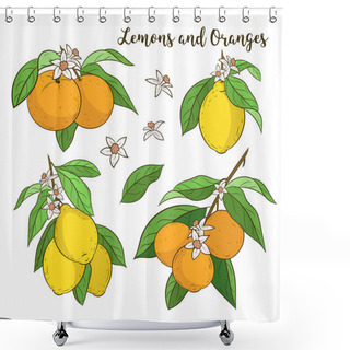 Personality  Orange/lemon Tree Branches Vector Set Shower Curtains