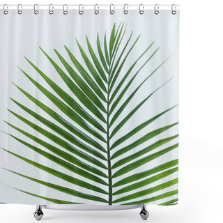 Personality  Close Up View Of Palm Branch With Green Leaves Isolated On Grey Background Shower Curtains