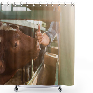 Personality  Cropped View Of Rancher Touching Nose Of Brown Cow On Dairy Farm, Selective Focus Shower Curtains