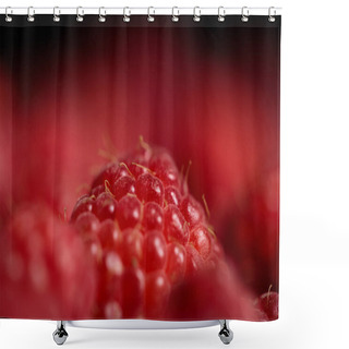Personality  Close Up View Of Delicious Fresh Ripe Raspberry Shower Curtains
