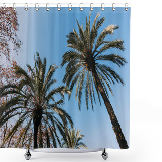 Personality  Tall Lush Palm Trees On Blue Sky Background, Barcelona, Spain Shower Curtains