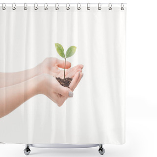 Personality  Cropped View Of Female Hands Holding Ground With Green Plant Isolated On White                                       Shower Curtains
