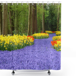 Personality  Spring Flower Bed In Keukenhof Shower Curtains