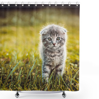Personality  Gray Cat Walking On Green Grass Shower Curtains