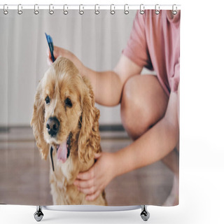 Personality   The Dog Is Dripped On The Withers With A Parasite Remedy Shower Curtains