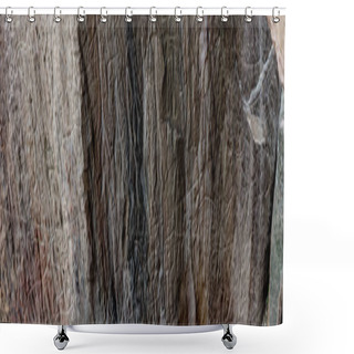 Personality  Petroglyph Drawings In Gobustan Park Shower Curtains