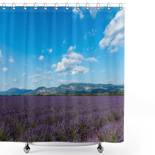 Personality  Beautiful Blooming Lavender Flowers And Distant Mountains In Provence, France  Shower Curtains