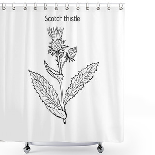 Personality  Milk Thistle Plant Shower Curtains