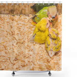 Personality  Baby Yellow Lovebird  Shower Curtains