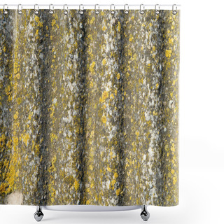 Personality  Roofing Slate Shower Curtains