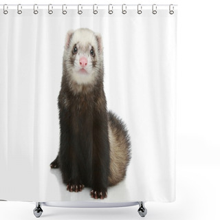 Personality  Ferret On A White Background Shower Curtains
