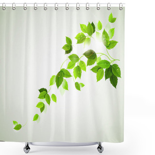 Personality  Summer Branch With Fresh Green Leaves Shower Curtains