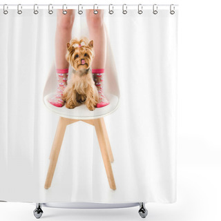 Personality  Woman Standing By Yorkshire Terrier On Chair Isolated On White Shower Curtains