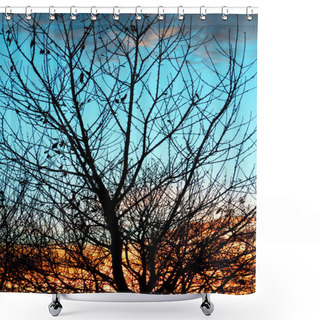 Personality  Naked Autumn Tree In Sunset Shower Curtains