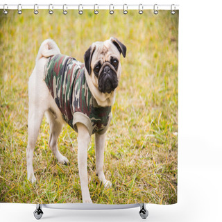 Personality  Dog Mops. Dog Walking In The Park Shower Curtains