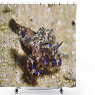 Personality  Blue Ringed Octopus Shower Curtains