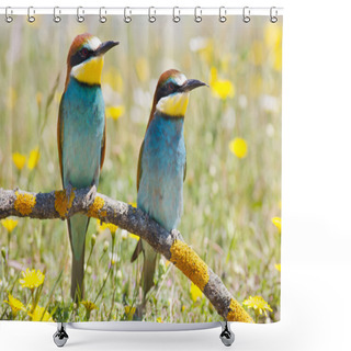 Personality  Couple Of Birds Shower Curtains