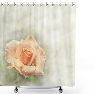 Personality  Gorgeous Light Orange Rose On A Dreamy Background, In Square Format With Copy Space Shower Curtains