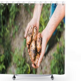 Personality  Cropped Image Of Farmer Holding Ripe Potatoes In Hands In Field  Shower Curtains