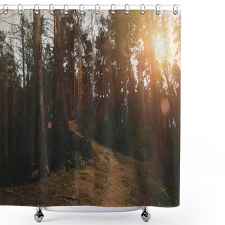 Personality  Footpath In Summer Forest Shower Curtains