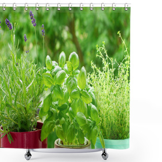 Personality  Home Herb`s Garden Shower Curtains