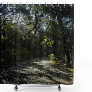 Personality  Dirt Road Winding Through A Dense Forest, Flanked By Tall Trees On Both Sides Shower Curtains