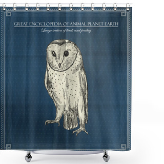 Personality  Vector Owl From Great Encyclopedia Of Animal Planet Earth On Blue Background Shower Curtains