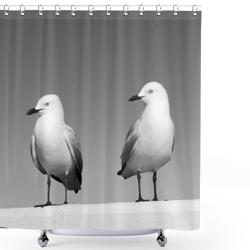 Personality  Seagulls Shower Curtains