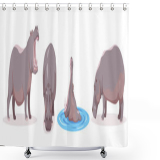 Personality  Set Of Hippo In Different Angles And Emotions In Cartoon Style. Vector Illustration Of Herbivorous African Animals Isolated On White Background. Shower Curtains