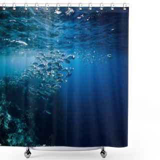 Personality  Wildlife In Underwater With School Tuna Fish In Ocean At Coral Reef Shower Curtains