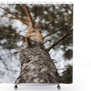 Personality  Pine Tree Shower Curtains