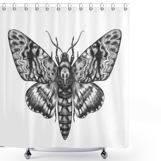 Personality  Hand Drawn Acherontia Styx Butterfly Shower Curtains