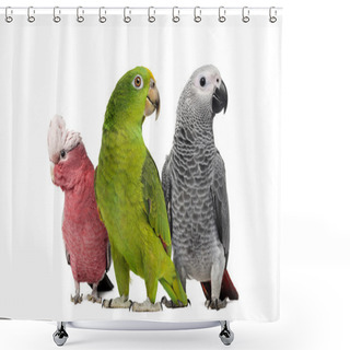 Personality  Group Of Parrots Shower Curtains