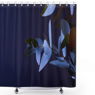 Personality  Eucalyptus Leaves On Twigs In Vase On Dark Shower Curtains