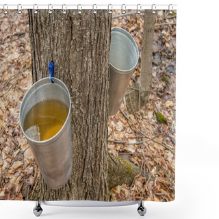 Personality  Pail Used To Collect Sap Of Maple Trees To Produce Maple Syrup I Shower Curtains