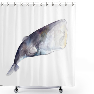 Personality  Watercolor Sperm Whale,  Hand-drawn Illustration Isolated On White Background. Shower Curtains