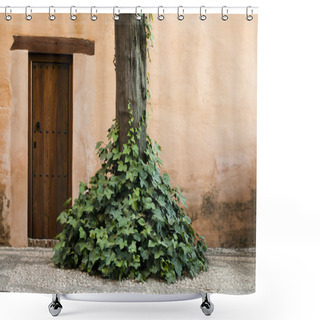 Personality  Wooden Door And Ivy Shower Curtains