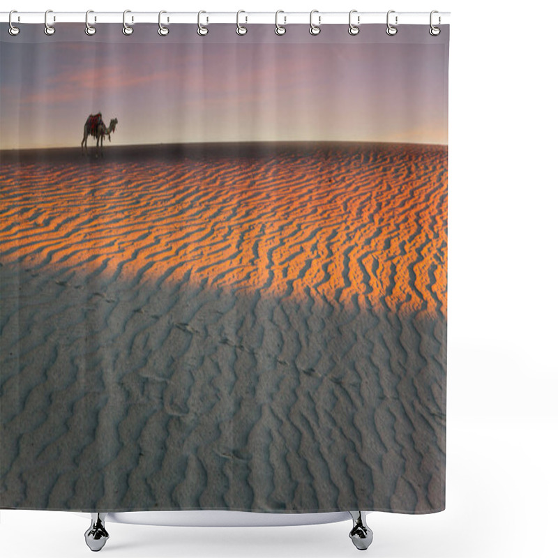 Personality  Orange Sunrise In The Desert. Sleek Camel, Decorated With Colorful Garlands And Tassels, Stands On The Crest Of A Sand Dune. Concept Of Active, Ecological And Photo Tourism Shower Curtains