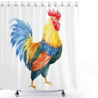 Personality  Watercolor Cock Rooster Shower Curtains