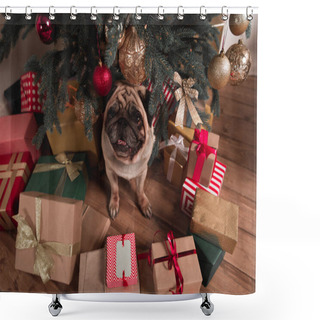 Personality  Pug Sitting Under Christmas Tree Shower Curtains