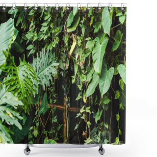Personality  Bamboo Fence Covered With Vines And Tropical Leaves Shower Curtains