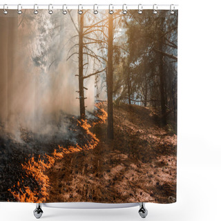 Personality  Forest Fire, Wildfire Burning Tree In Red And Orange Color Shower Curtains