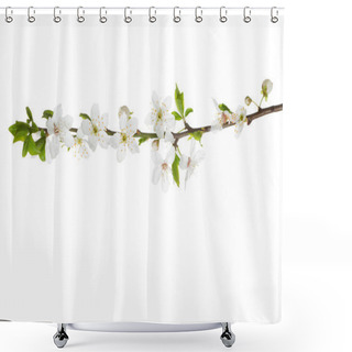Personality  Branch In Blossom Isolated On White.  Shower Curtains