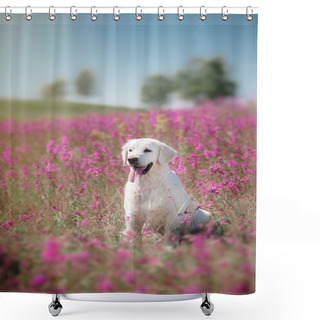 Personality  Dog Golden Retriever In Flowers Shower Curtains