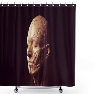 Personality  Human Ecorche Flayed Head Face Anatomical Musculature Display Halloween Sculpture Quarter View 3d Illustration Render Shower Curtains