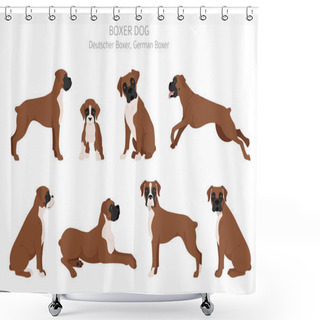 Personality  Boxer Dog Clipart. Different Poses, Coat Colors Set.  Vector Illustration Shower Curtains