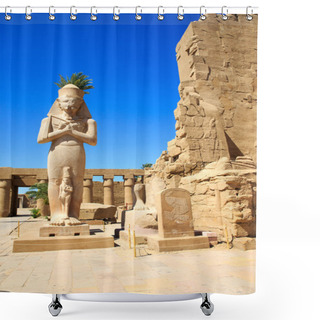 Personality  Ancient Ruins Of Karnak Temple In Egypt Shower Curtains