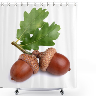 Personality  Dried Acorn With Leaves Shower Curtains