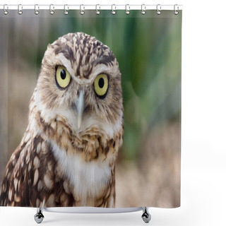 Personality  Burrowing Owl Portrait Shower Curtains