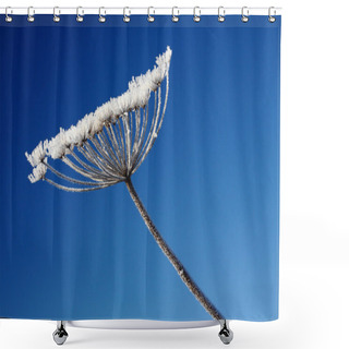 Personality  Flower On A Background Of Blue Sky Shower Curtains